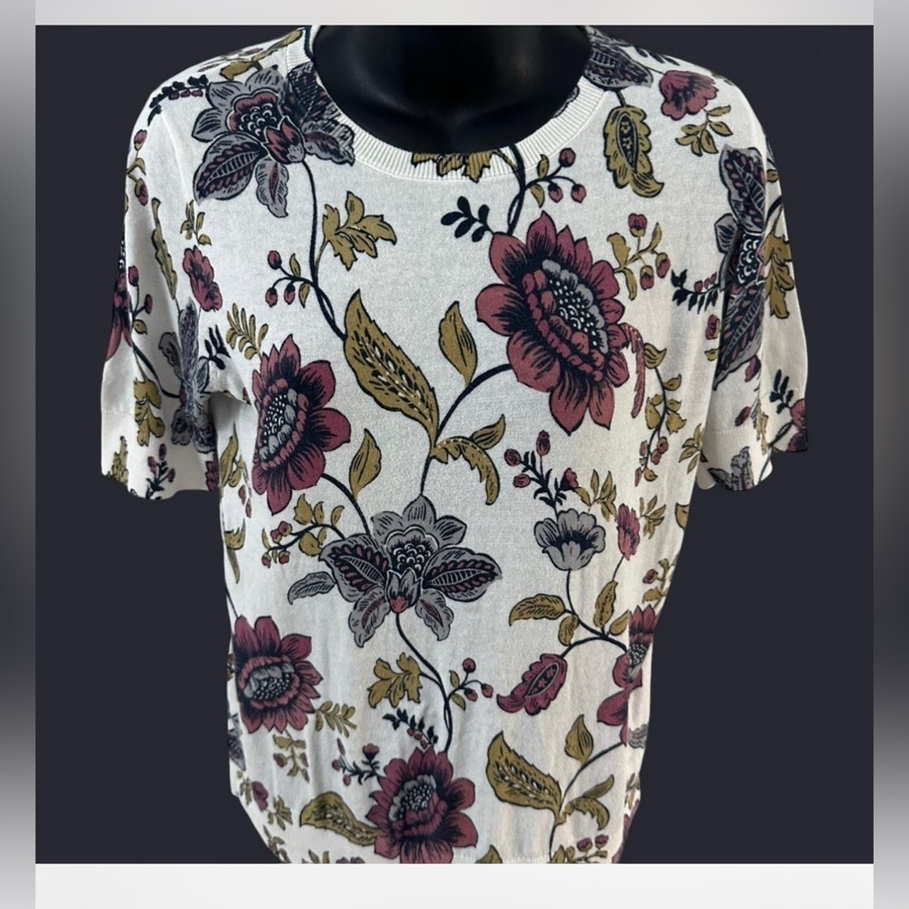 Ann Taylor Factory Ivory and‎ Burgundy Sweater